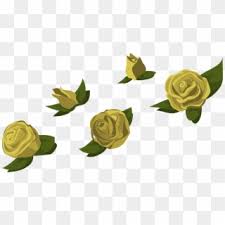 Find images of transparent png. Yellow Rose Flower Free Png Transparent Images Free Canh Hoa Hong Vector Png Download 960x522 1419660 Pngfind