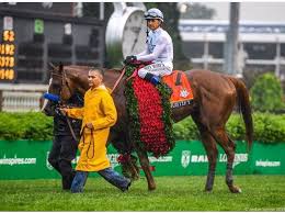 Trainer bob baffert, who has had horses fail five tests in just over a year, has been suspended. Justify Won The 144th Kentucky Derby Derby Horse Horse Racing Baby Horses