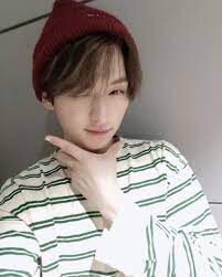 Stray Kids Pics In生 On Twitter Lee Know Stray Kids Minho Lee Know Stray Kids