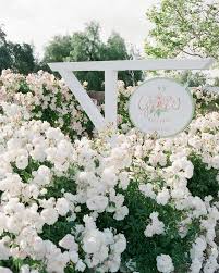 We did not find results for: White Rose Bush Grace Rose Farm White Rose Bush Rose Garden Landscape