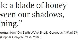 Ocean Vuong From On Earth We Re Briefly Gorgeous Night Sky With Exit Wounds Wounds Quotes Poems Beautiful Words