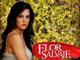 Flor salvaje es la historia de amanda monteverde (mónica spear). Descarga Flor Salvaje 1080p 150 150 Mega Descargas Comunidad Xtreme Addictions Un Camino Sin Retorno