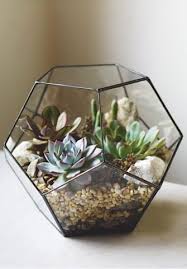 How To Plant A Terrarium Succulents Indoor Succulent Terrarium Plants
