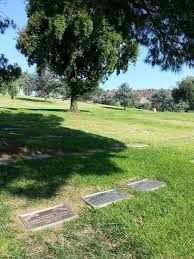 Marsha Ann O'Cheskey Antonelli (1952-2011)