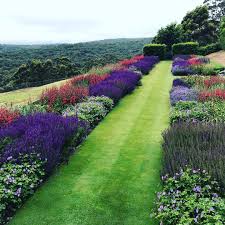 Paul Bangay The Lower Perennial Border Full Of Salvia Nemerosa Geranium Rozanne And Red Penstemon Stonefields Geranium Rozanne Perennials Perennial Border