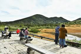 Image result for Hakkoda Walk