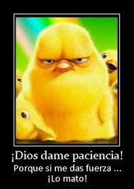 Dame Mucha Paciencia Senor Ja Ja Ja Funny Quotes Humor Funny