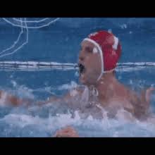 Water Polo Gifs Tenor Search, discover and share your favorite water polo gifs. water polo gifs tenor