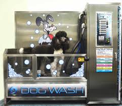 Removing ticks safely and easily can help keep your pet comfortable and healthy, even if ticks are a nuisance. Diy Dog Wash Brookline Dog Grooming Brookline Ma