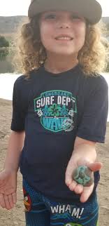 Hidden geocache found in tree at Horse Heaven Park