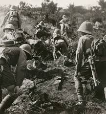 Image result for Flat White 1918 Military