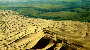 China investe bilhões em reflorestamento para conter o deserto e agora possui a maior "muralha verde" da história