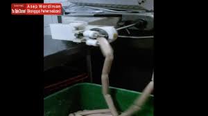 12:09 indonesia food department 27 317 просмотров. Pabrik Sosis Sukabumi Bertahan Hidup Bertahan Menghidupi Sukabumi Kita Jual Sosis Murah Dan Terlengkap Happy House