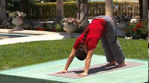 Hatha Flow Yoga For Beginners Hatha Flow Yoga Yoga For Beginners Yoga Flow