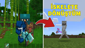 App include a lot of furniture mods: Minecraft Win10 Edition More Ore Mod Android Ios 1 12 1 13 Mcpe By Ertugrul Cin