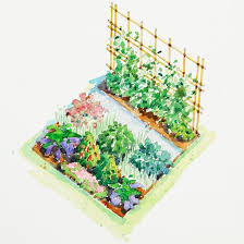 Plans For Vegetable Gardens Fall Garden Vegetables Vegetable Garden Planning Vegetable Garden Planner