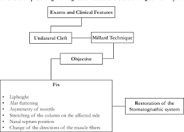 Figure 2 From Primary Cheiloplasty Using The Technique Of