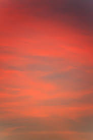 1920 x 1200 jpeg 385 кб. Sunset Sky Background Free Stock Photo Public Domain Pictures