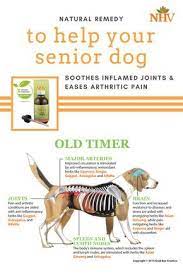 Pin On Animal Health