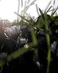 Malen nach zahlen »meisterklasse premium, frühlingsblumen« die neue dimension für malen nach zahlen das frühlingshafte malset »meisterklasse premium, frühlingsblumen« von schipper sorgt bei. Kreatives Malen Von Fruhlingsblumen Burgerportal Bergisch Gladbach