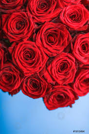 Sicuramente il mazzo di rose, che deve essere sempre composto in numero dispari, è quello più regalato e apprezzato, un tradizionale modo per dire ti amo. Fioritura Di Rosa Fiori E San Valentino Giorno Presente Concetto Foto D Archivio Crushpixel