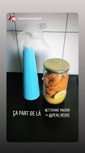 Nettoyant Multi Usage Pour La Maison Diy Naturel Aux Agrumes Et Au Vinaigre Blanc Recette Facile Sur Le Blog Peau Neuve Nettoyer Maison Nettoyant Multi Usage