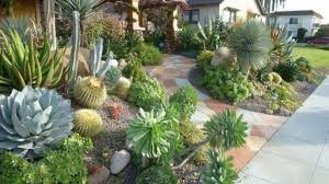 Other xeriscape ideas include creating irrigation zones, which hinges on grouping plants by water needs. 35 Popular Xeriscape Landscape Ideas For Your Front Yard Magzhouse