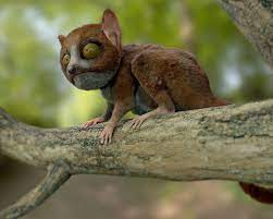 Grey mouse Lemur type of creature - CG Cookie | Learn Blender, Online  Tutorials and Feedback