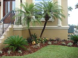 Landscaping Ideas Landscape Design Front Yard Trees Tropicalyardideas Palm Trees Tro Tropical Landscape Design Palm Trees Landscaping Tropical Landscaping