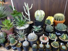 ひなた宮崎経済新聞 - みんなの経済新聞ネットワーク