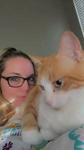 How to find a missing fat orange cat near Coliseum Blvd or Walmart