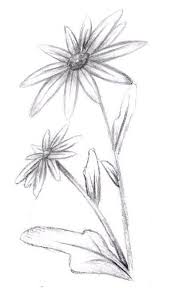 Pin On Sketch And Draw
