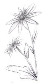 Flowers drawing easy 19 ideas for 2019. How To Draw A Flower Draw Central Flower Sketches Flower Drawing Drawings
