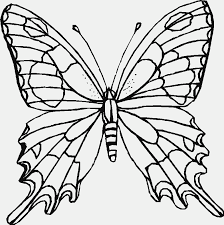 For boys and girls, kids and adults, teenagers and toddlers, preschoolers and older kids at school. Printable Butterfly Pictures Coloring Home