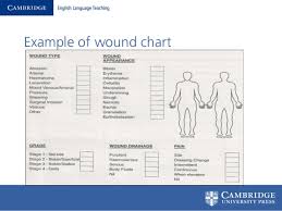 wounds charts and medication tips for teaching nurses