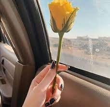 View 228 nsfw pictures and videos and enjoy sexyflowerwater with the endless random gallery on scrolller.com. 250 Flower Dpz Ideas Girly Pictures Girly Dp Hand Photography