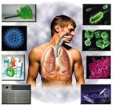 It's caused by the bacterium legionella pneumophila found in both see what's new for the latest on legionnaires' disease. Legionella And Legionnaires Disease In Water Systems Installation