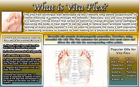 Vita Flex Essential Oils Chart Repositionable Sticker