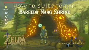 Suivez l'évolution de l'épidémie de coronavirus / covid19 dans le monde. Breath Of The Wild Bareeda Naag Shrine Guide And Location Youtube