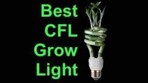 The best grow lights for growing weed will be different depending on the grow room and budget. Top 6 Best Cfl Grow Light Review 2021 Fluorescent Light 420 Big Bud