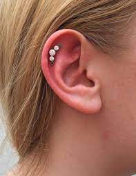 29 Hot And Stylish Ashley Piercing Ideas For Her Ashley Piercing Face Piercings Vertical Labret Piercing