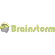Brainstorm