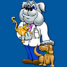 Pet doctor myrtle beach, horry county, south carolina, statele unite ale americii pet doctor ore de deschidere pet doctor adresa pet doctor telefon pet doctor fotografie medic veterinar. Home The Pet Doctor