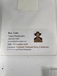 4x NEW SEALED Ron Lutz Nature Photography 5x7" Decor YOSEMITE PARK PHOTOS