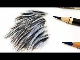 How To Draw Realistic Wet Fur Coloured Pencil Tutorial Youtube Realistic Drawings Color Pencil Sketch Color Pencil Drawing