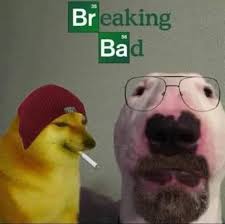 We did not find results for: Ya Me Vi La Serie Voy Por Better Call Saul Breaking Bad Fotografias Divertidas De Animales Memes