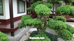 Japanese gardens are traditionally designed to be a natural place for rest and relaxation and are not driven by ego. The Most Beautiful Backyard An Koi Pond In Japan Japanese Garden Design Youtube