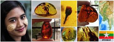 Myanmar Amber Museum