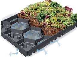 Toit Vegetalise Bungalow Bois Toit Vegetalise Toiture Verte Toit