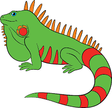 Iguana Clipart Iguana Transparent Free For Download On Webstockreview 2021 Pngtree offers over 637726 iguana clipart png and vector images, as well as transparant background iguana clipart clipart images and psd files.download the free graphic resources in the form of png. iguana clipart iguana transparent free for download on webstockreview 2021